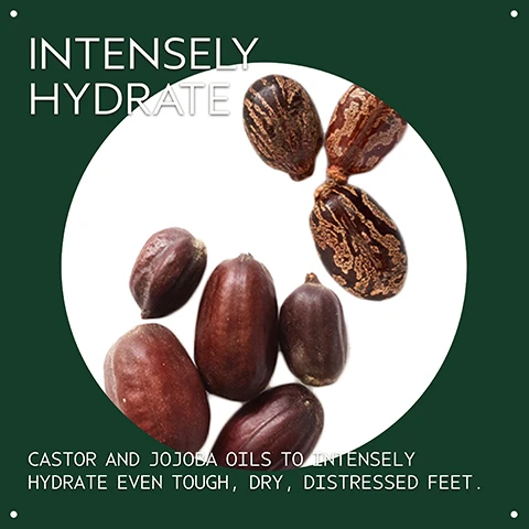 Image 2 - The image shows a dark green background with a white circular area featuring several brown seeds, some smooth and oval, others patterned, with the text INTENSELY HYDRATE and CASTOR AND JOJOBA OILS TO INTENSELY HYDRATE EVEN TOUGH, DRY, DISTRESSED FEET. Image 3 - A creamy white swirl of skin care product is shown on a white background. Image 4 - A white tube of Aveda Foot Relief moisturizing creme is prominently displayed against a vibrant blurred green background, featuring the visible text AVEDA THE ART AND SCIENCE OF PURE FLOWER AND PLANT ESSENCES foot relief moisturizing creme intensely moisturizes, smooths and soothes tired feet crème hydratante hydrate intensément, lisse et apaise les pieds fatigués, with additional large white text on the right stating SOFTENS AND SMOOTHS DRY FEET. Image 5 - Three white certification logos are displayed against a dark green leafy background with a red stem: a 100% Vegan logo with a large V, a Certified B Corporation logo with a B in a circle, and a Cruelty Free International leaping bunny logo.