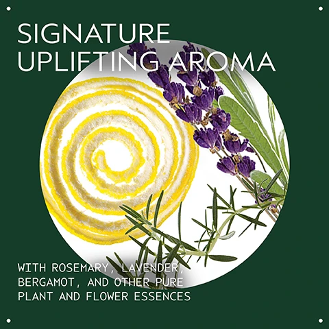 Image 2 - A dark green background displays a white circle containing a yellow lemon peel spiral, dried purple lavender, and green rosemary sprigs, with the text Signature Uplifting Aroma and With Rosemary, Lavender, Bergamot, And Other Pure Plant And Flower Essences. Image 3 - A white tube of Aveda Beautifying Body Moisturizer and a small yellow bottle of Aveda Beautifying Composition Oil are displayed on an orange background, with visible text including How To Use, on the tube AVEDA THE ART AND SCIENCE OF PURE FLOWER AND PLANT ESSENCES beautifying body moisturizer uplifting aroma crème hydratante pour le corps arôme exaltant 6.7 fl oz/oz liq/200 ml e, on the bottle AVEDA THE ART AND SCIENCE OF PURE FLOWER AND PLANT ESSENCES beautifying composition oil™ uplifting aromatic oil for body, bath and scalp huile aromatique exaltante pour le corps, le bain et le cuir chevelu 1.7 fl oz/oz liq/50 ml e, and instructions 01 MOISTURIZE Beautifying Body Moisturizer 02 EXTRA HYDRATION Beautifying Composition Oil. Image 4 - A dollop of thick, off-white cream or moisturizer with a textured, swirled surface casting a shadow on a white background. Image 5 - A white tube of Aveda Beautifying Body Moisturizer with an orange cap is displayed against a blurred green and teal background with flowing patterns, featuring the text AVEDA THE ART AND SCIENCE OF PURE FLOWER AND PLANT ESSENCES, beautifying, body moisturizer, uplifting aroma, crème hydratante, pour le corps, arôme exaltant, and Nourishes Skin with All-Day Moisture. Image 6 - White certification logos are displayed on a dark green background with plant leaves, featuring a 100% VEGAN V logo, a Certified B Corporation logo, and a Cruelty Free INTERNATIONAL leaping rabbit logo.