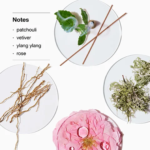 Image 1 - Image shows four white plates containing various natural ingredients: a pink flower, brown roots, green moss, leaves, and twigs, with notes on the side listing patchouli, vetiver, ylang ylang, and rose.