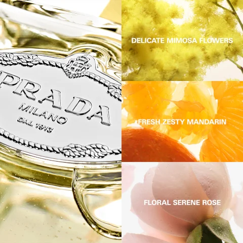 delictae minosa flowers fresh zesty mandarin and floral serine rose