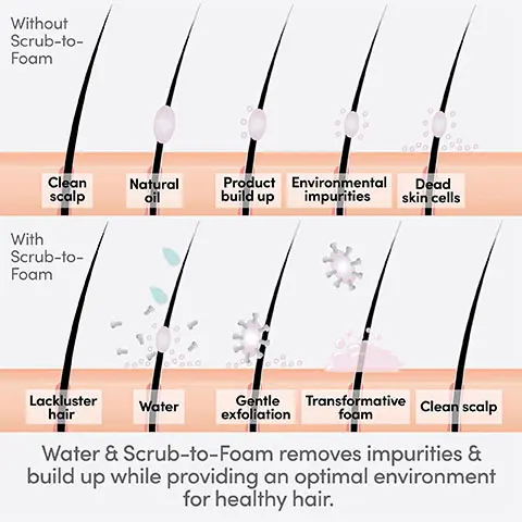 Image 1, Illustration of scalp without scrub-to-foam. Text- Clean scalp, natural oil, product build up, environmental impurities, dead skin cells vs with scrub-to-foam, lackluster hair, water, gentle exfoliation transformative foam, clean scalp. Water and scrub-to-foam removes impurities and build up while providing an optimal environment for healthy hair. Image 2, before and after shot of scalp. Magnification X50.0, Tilt angle 0, Lens Z20X50. Left- Product build up. Right- Shampooed with scrub-to-foam. Image 3, Renewing scalp care scrub-to-foam before and after. Gently cleanses and exfoliates, leaves the scalp feeling calm, soothed and hydrated.