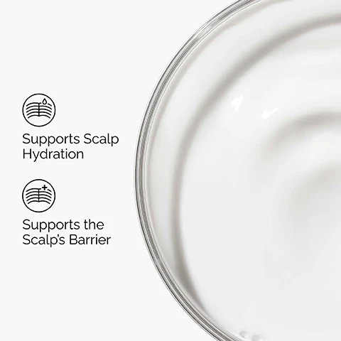 Image 1 - The image shows two black line art icons on a white background, one depicting a scalp with a water droplet and the other a scalp with a plus sign, next to a close-up of a white creamy substance in a curved dish; the text reads Supports Scalp Hydration and Supports the Scalps Barrier. Image 2 - A close-up of a persons scalp with dark curly hair and a white dropper applying serum, next to three white labels with icons and text that read Targets Dryness, Scalp Hydration, and Lightweight Serum. Image 3 - The image displays key ingredients for scalp hydration over a white background with a blurry white liquid shape and water droplets on the right, listing Key ingredients in Natural Moisturizing Factors + HA for Scalp: Natural Moisturizing Factors Skin identical hydrating molecules including amino acids, urea and PCA. Hyaluronic Acid Supports skin hydration. Image 4 - Three white and one amber bottle of The Ordinary hair care products are displayed with text describing a scalp hydration regimen: A regimen for scalp hydration. The first white bottle is Sulphate 4% Cleanser for Body and Hair, next is Behentrimonium Chloride 2% Conditioner, and the amber dropper bottle is Natural Moisturizing Factors + HA for Scalp. Below these, sections are labeled CLEANSE Sulphate 4% Cleanser for Body and Hair Gently cleanses hair, CONDITION Behentrimonium Chloride 2% Conditioner Conditions and smooths hair, and TREAT Natural Moisturizing Factors + HA for Scalp Moisturizes the scalp to ease dryness.