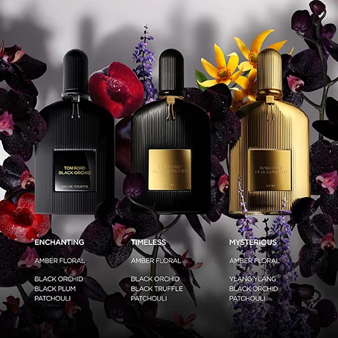 Image 1 - Image shows three perfume bottles labeled Enchanting, Timeless, and Mysterious surrounded by dark flowers and colorful leaves, with visible text detailing the fragrances: Enchanting - Amber Floral, Black Orchid, Black Plum, Patchouli; Timeless - Amber Floral, Black Orchid, Black Truffle, Patchouli; Mysterious - Amber Floral, Ylang Ylang, Black Orchid, Patchouli.