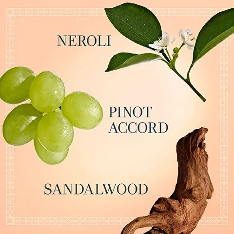 neroli, pinot accord, sandalwood