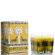 Ortigia Orange Blütenpracht - quadratische Kerze