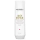 Goldwell Dualsenses Rich Repair Restoring Shampoo 250ml