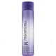 Paul Mitchell Platinum Blonde Shampoo (Blondpflege) 300ml