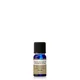 Neal's Yard Remedies Frankincense Essential Oil 10 ml
