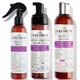 Curlsmith Strength Styler Bundle