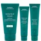 Aveda Botanical Repair Bundle
